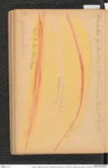 Seite 80, Tagebuch "Diluvium | Getzersdorf | Statzendorf | Willendorf | Mießling-Tal | Höhlen in Kremstal" (NHMW-PRAE-BBB-04)